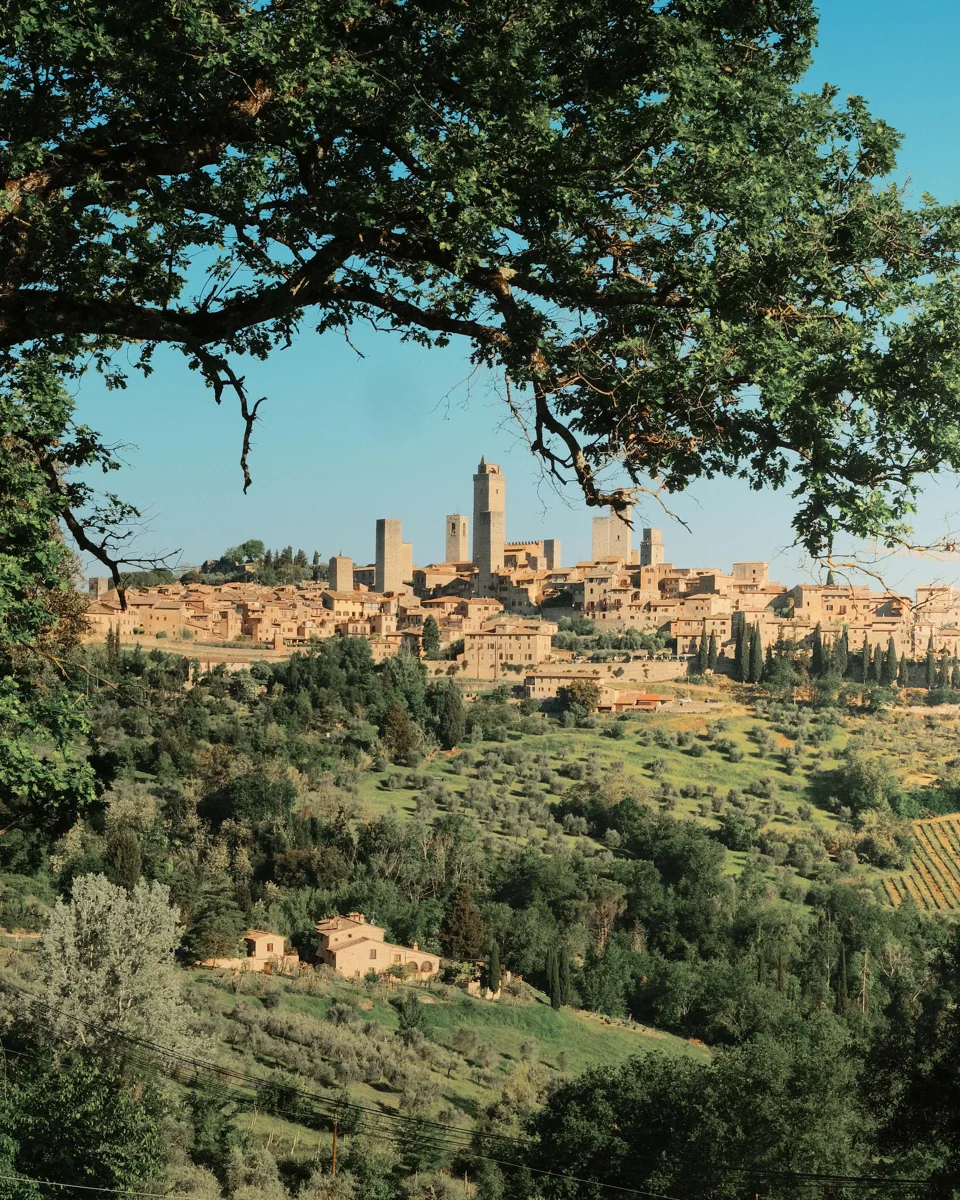 A distant Tuscan hill town with stone towers, framed by branches above green countryside.