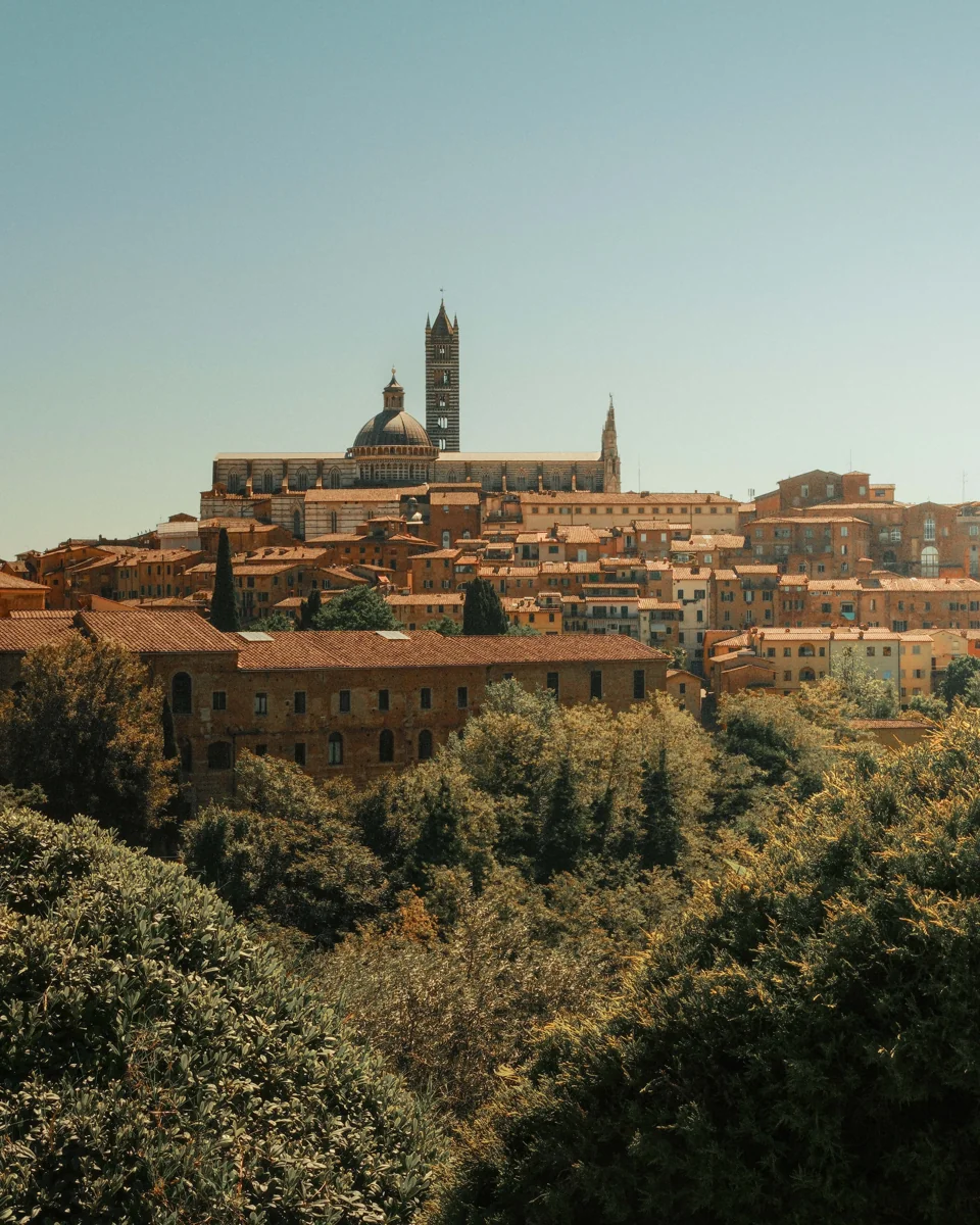 Siena’s cathedral and rooftops rising above a wooded hillside beneath a clear blue sky.