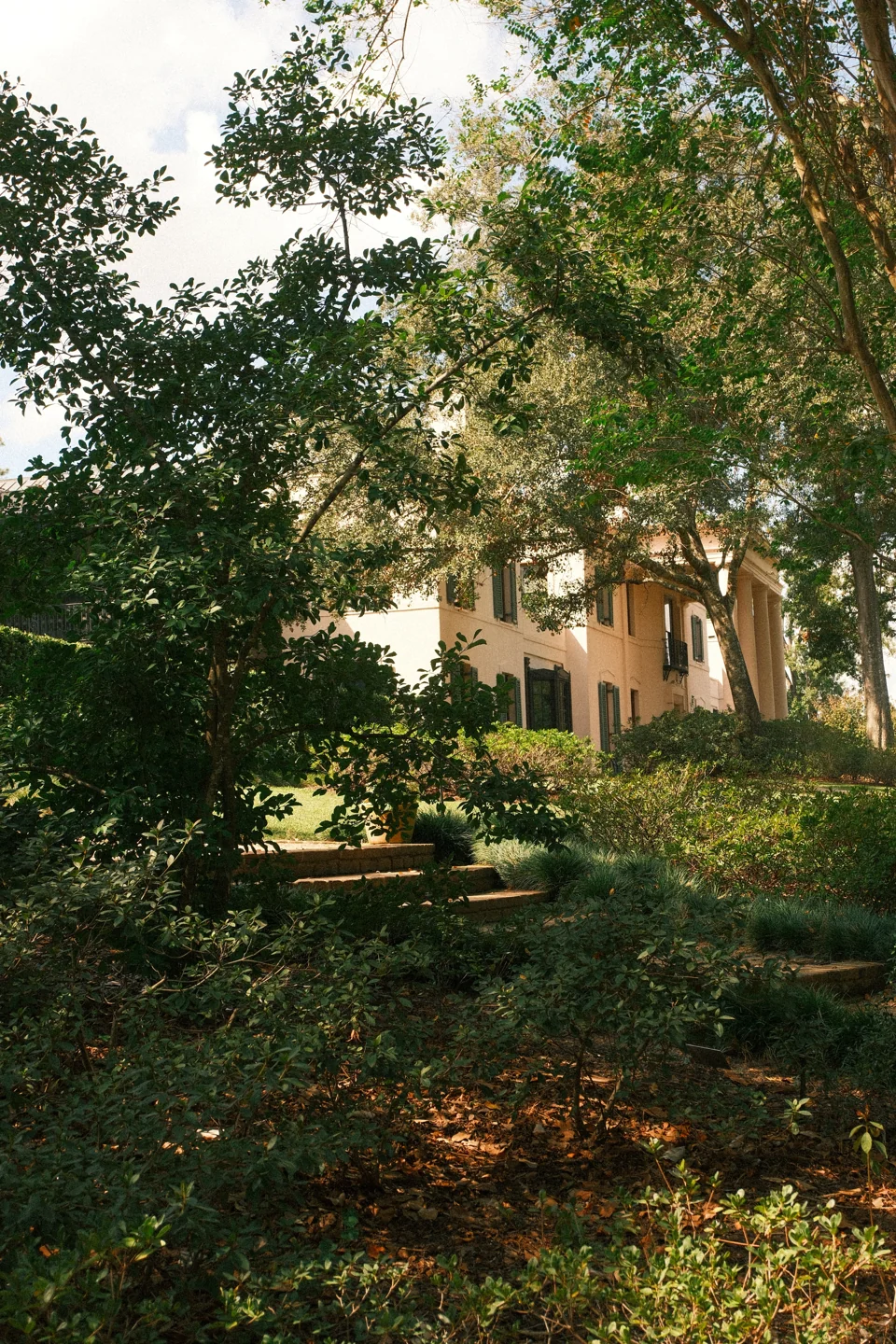 A glimpse of the house through trees and layered garden foliage.