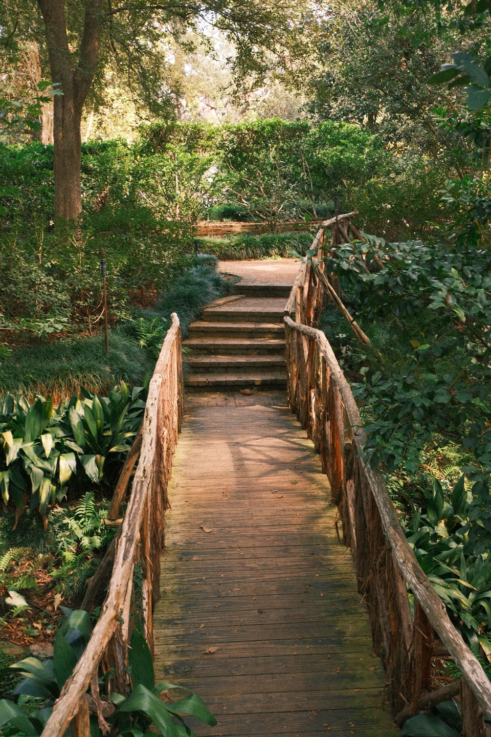 A wooden footbridge and steps continuing into a shaded garden path.