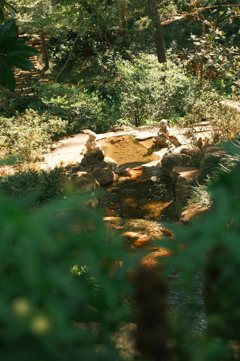 Sunlight on rocks and water, partially concealed by soft green foliage.